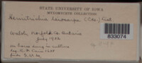 Image Associated With the Occurence